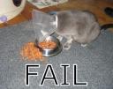 Fail!